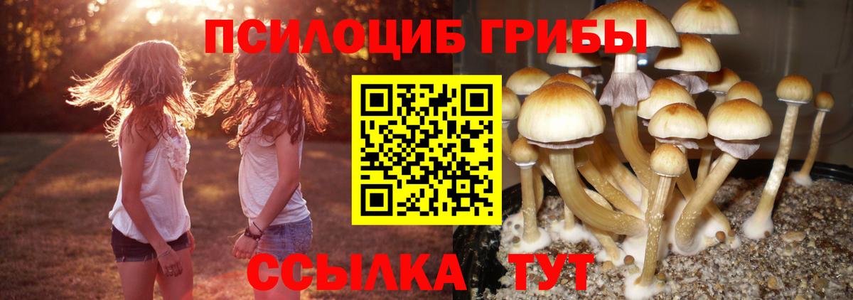 Галлюциногенные грибы мицелий Мыски
